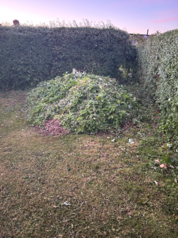 Bortskaffelse af grene og kompost