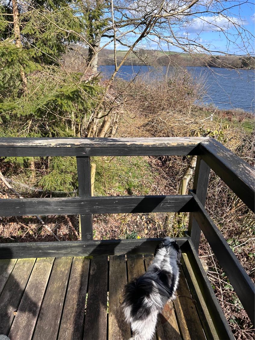 Behandling/maling af træterrasse
