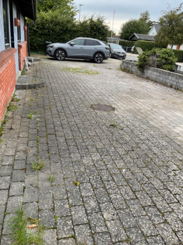 Ukrudt hækkeklip