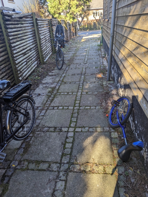 Ukrudt mellem fliser