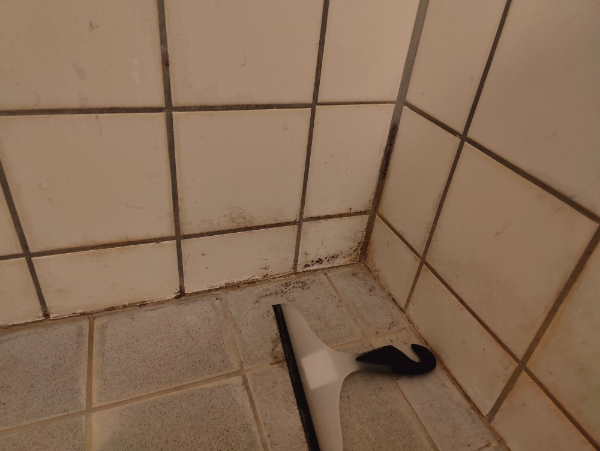 Skimmelsvamp loft fuger og klinker badeværelse og ovnrengøring