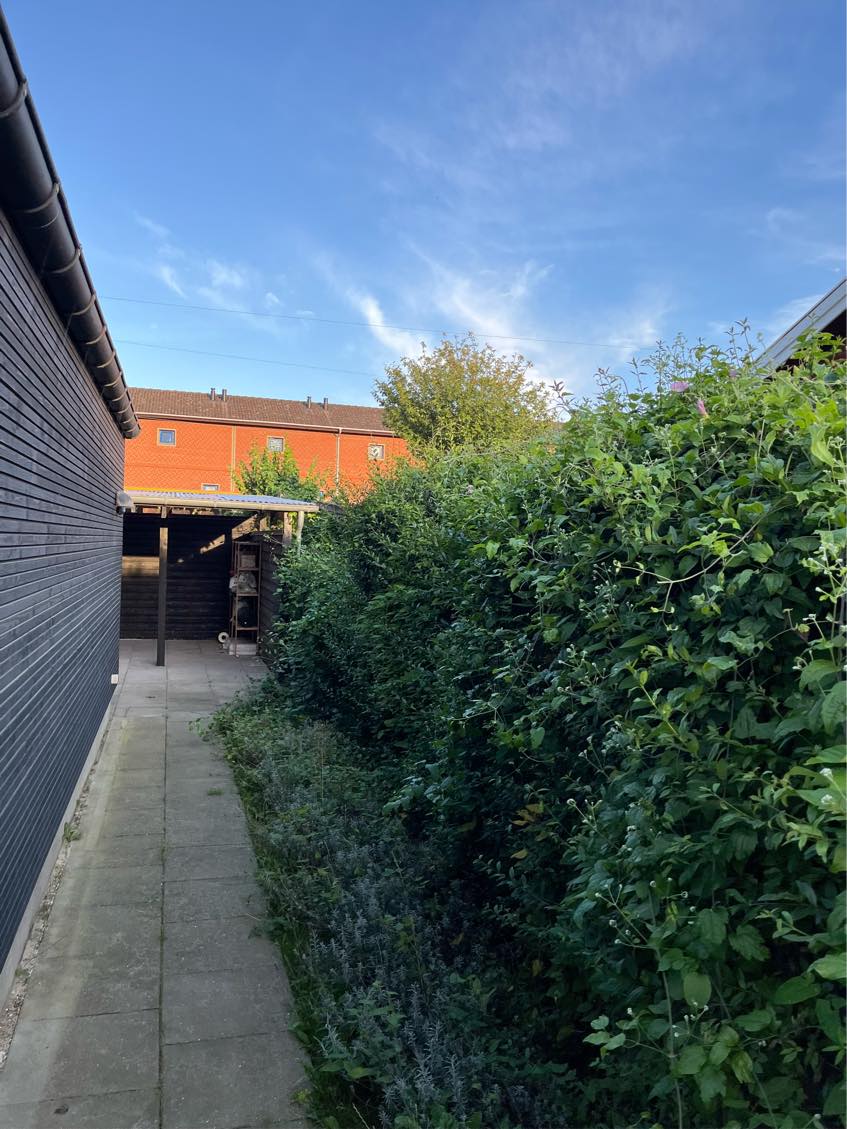 Klipning af hæk og græsplæne.