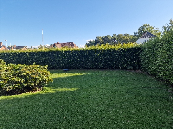 Hækklipning af 275 m bøgehæk på indvendig og udvendig side samt top.  180 cm høj