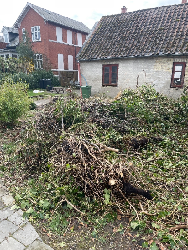 Haveaffald kørsel til genbrugsplads