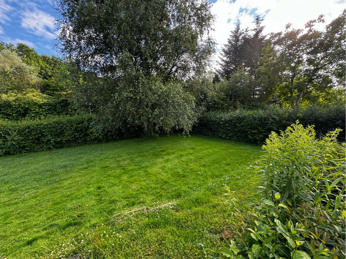 Hækklipning og græsslåning