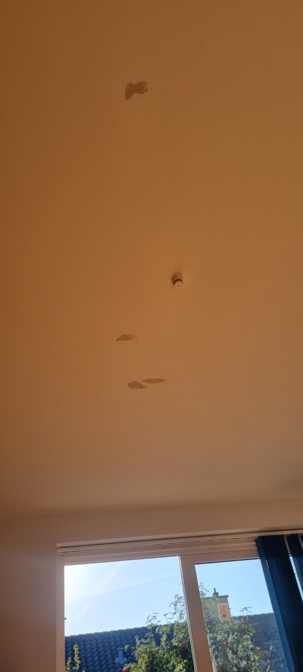 Loft i stue. Spartel og maling af beskadiget områder.