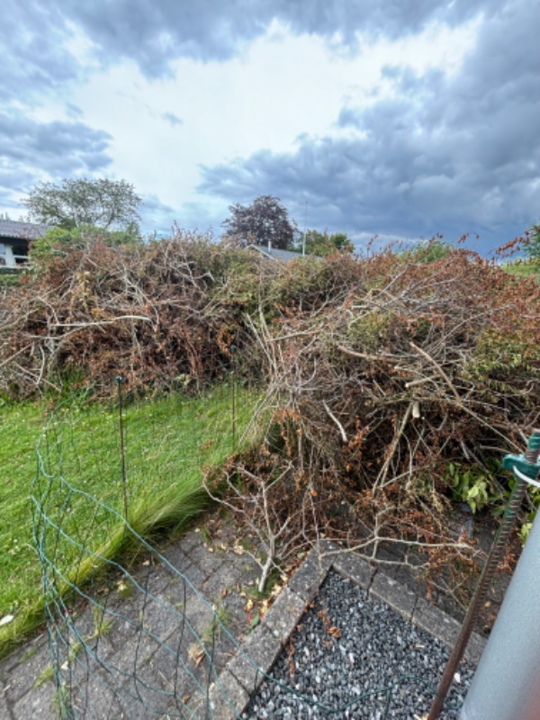 Bortskaffelse af haveaffald