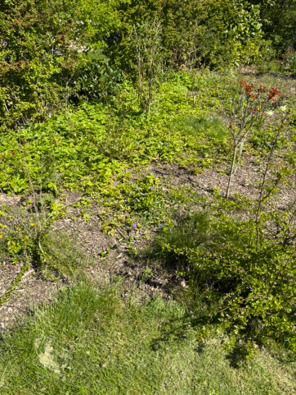 Lugning og havearbejde