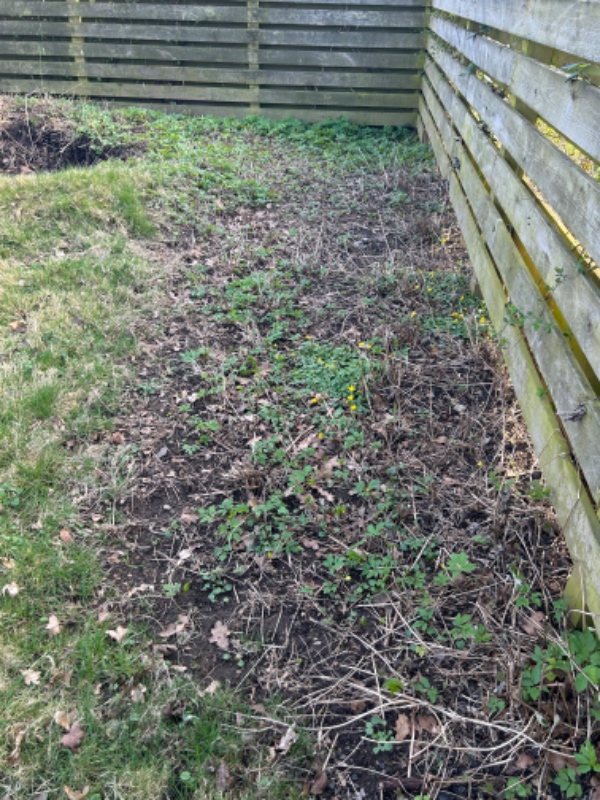 Diverse fjernelser rødder mm