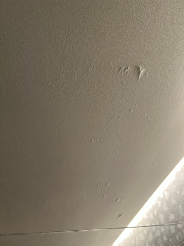 Maler reparation af loft i bad