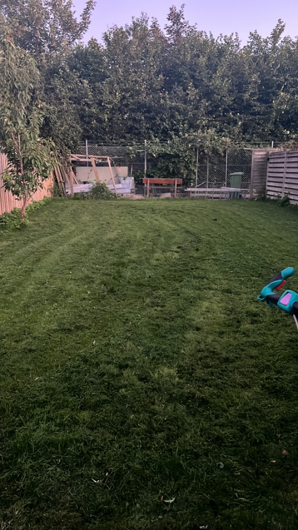 Jeg skal have sat 2 hegn op