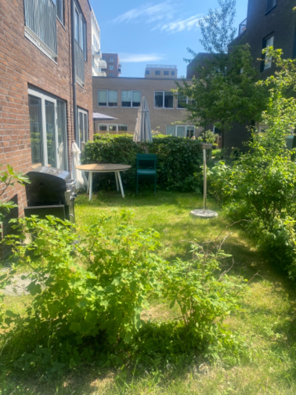 Fliselægning i have