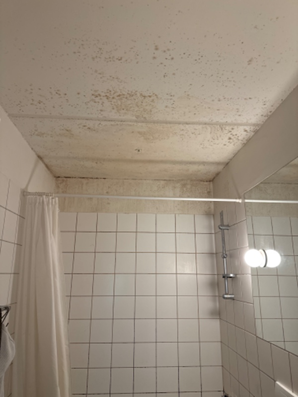 Maling af badeværelse