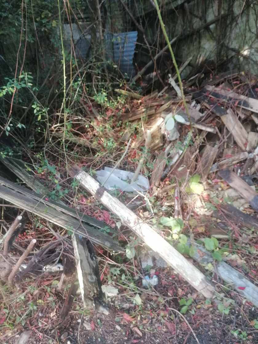 Ryddet en garage for rod..