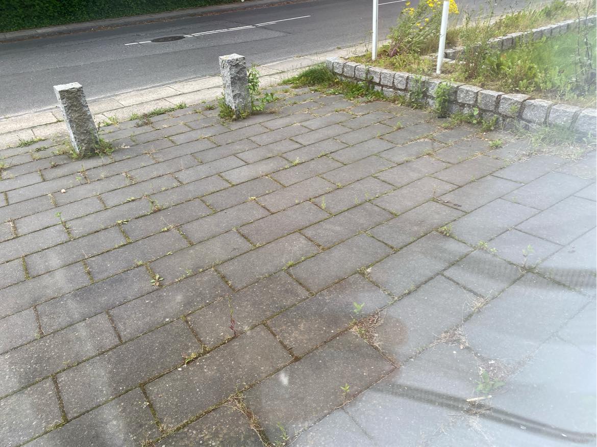 Ukrudtsfjernelse og græsklipning og hækklipning