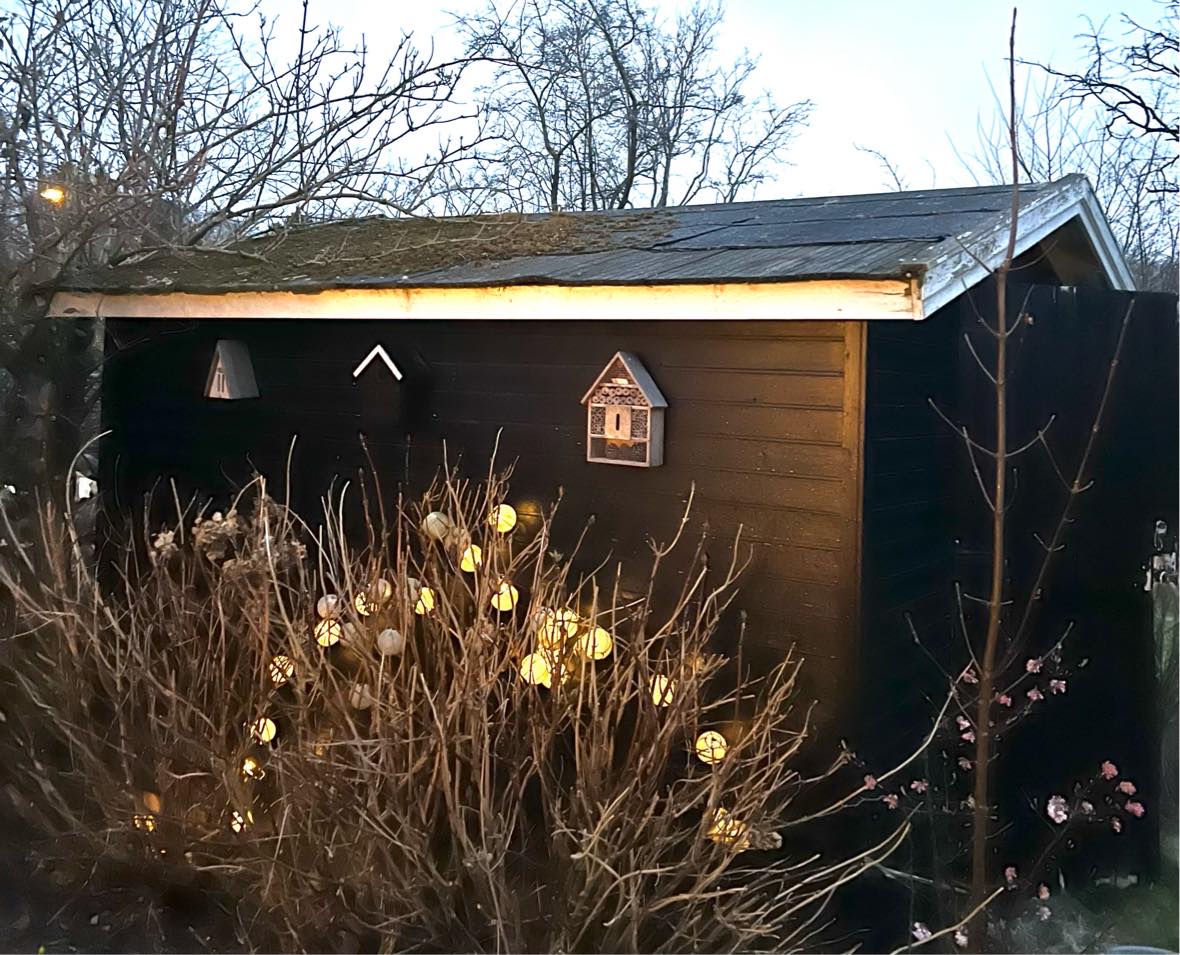 Nyt tag på haveskur