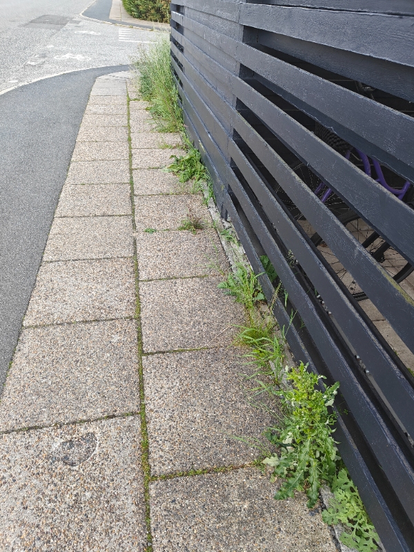 Ukrudtsfjernelse hjørnegrund og forhave