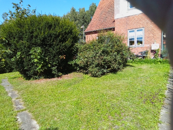 Hækkeklipning  og beskæring 2-3 buske