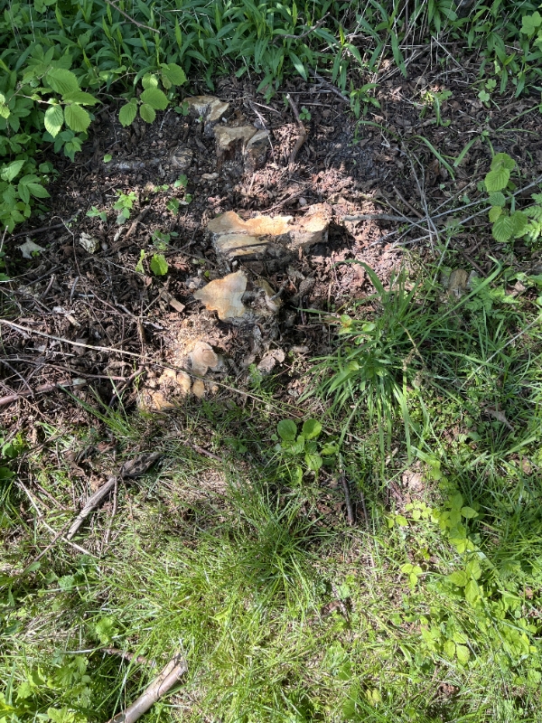 Stubfræsning - hurtig opgave