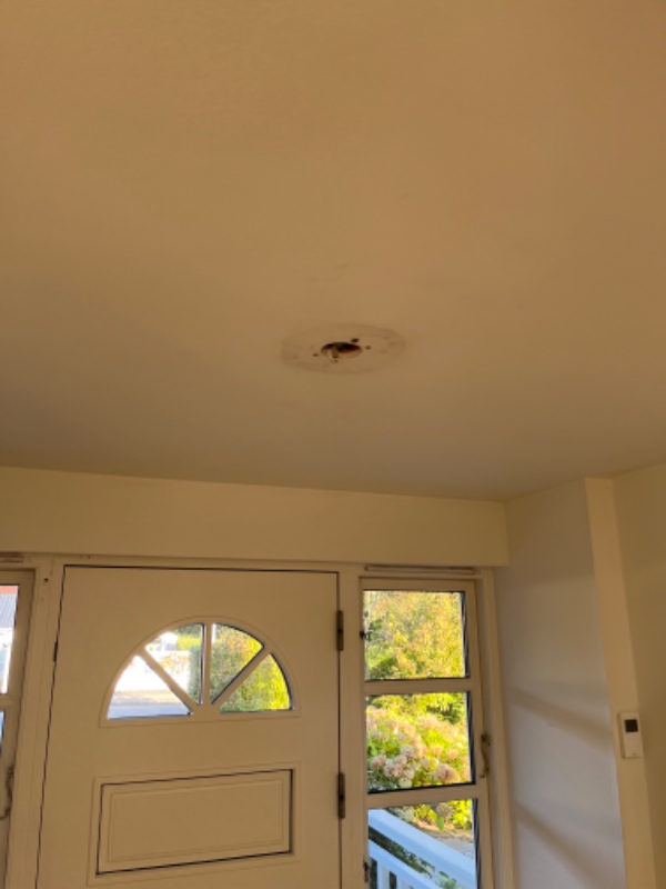 Ophængning af pendullamper i køkkenet, ophæng af spisebordslampe, ophæng af lampe i entreen og kælde