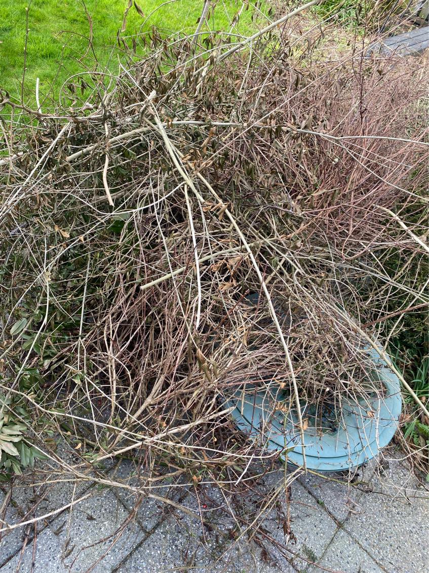 Haveaffald på genbrugspladsen