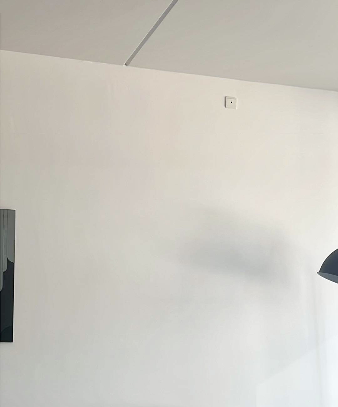 Skal have hængt to billeder op