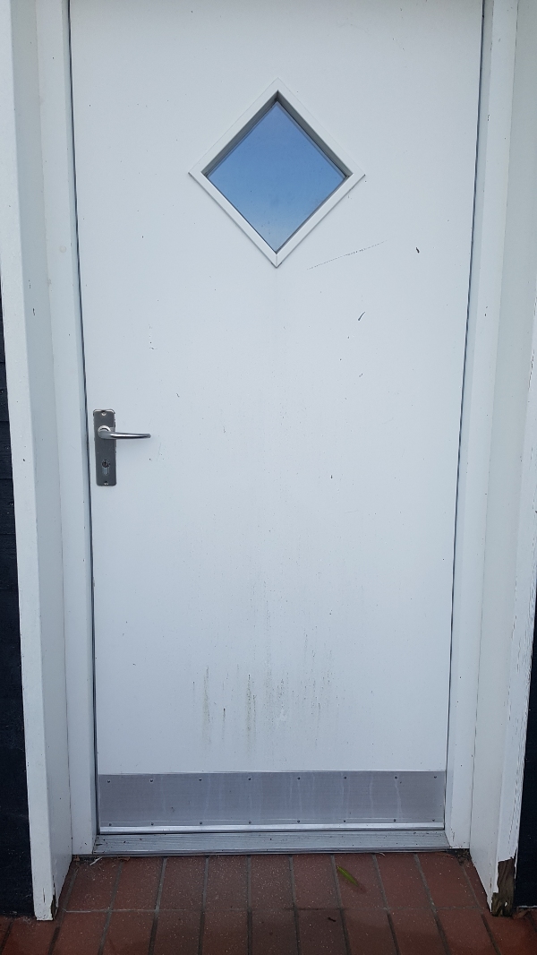 En kattelem med chip