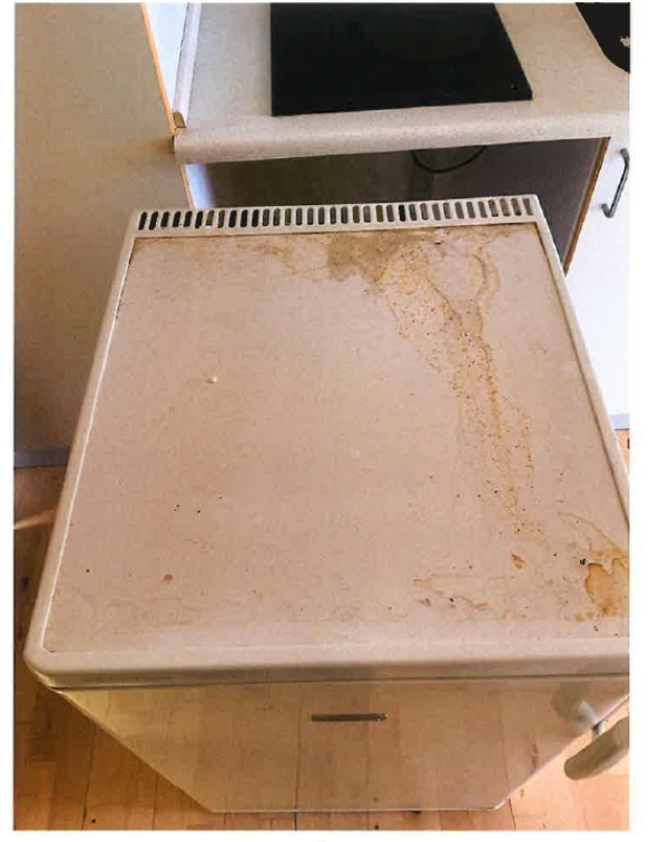 udflytningsrengøring