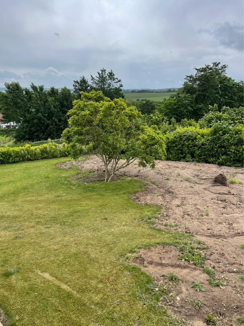 Anlægning af græsplæne