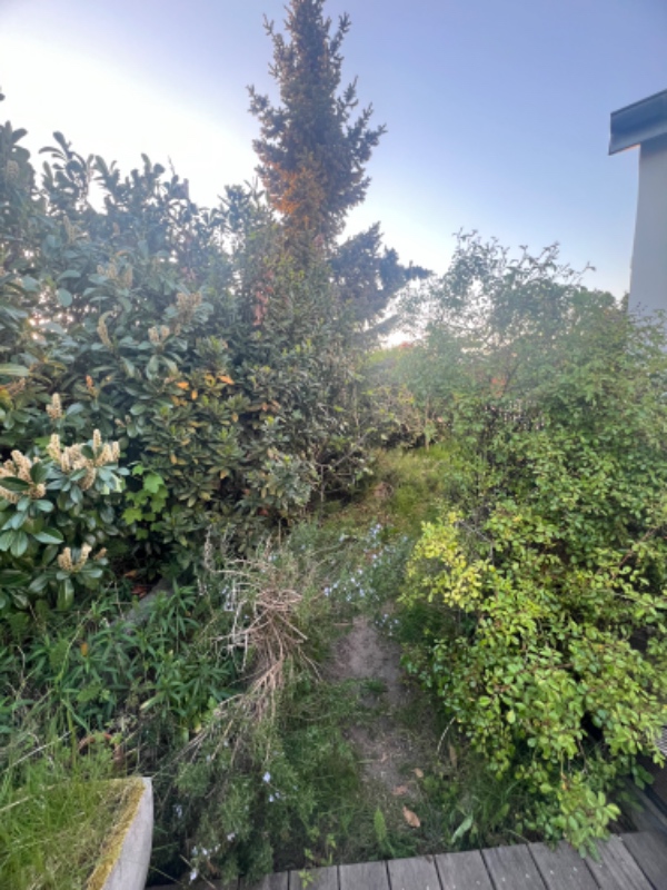 Havearbejde og fjernelse af sten