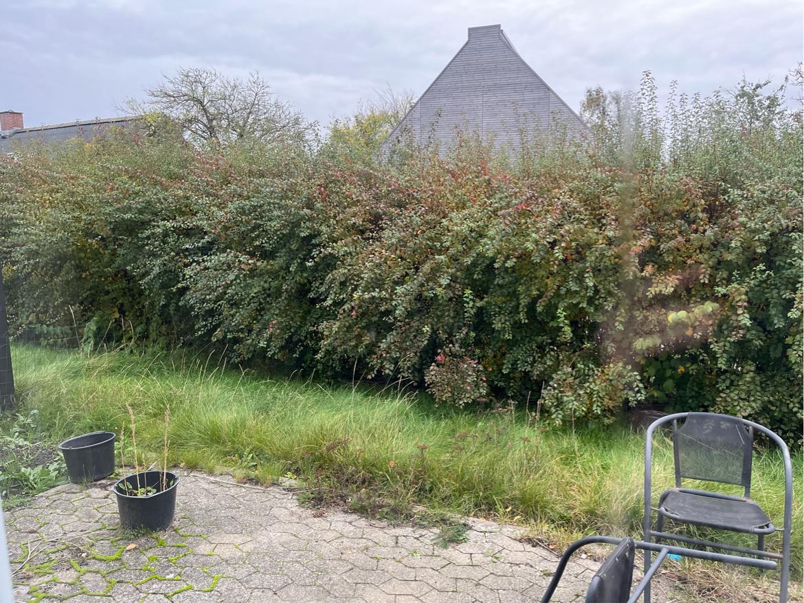 Klip af hæk på indvendig side samt græsslåning