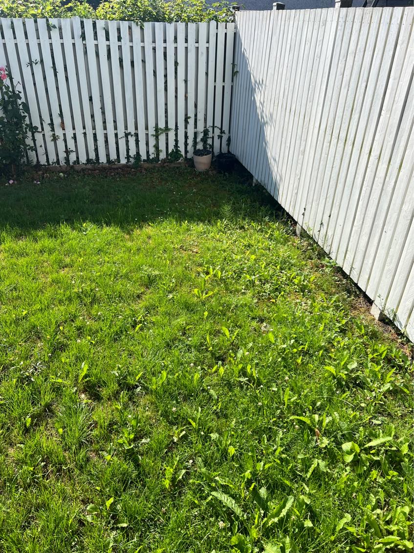 Lægges terrassefliser