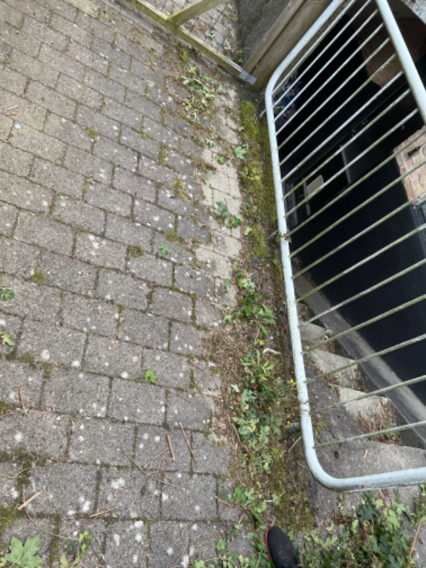 Ukrudt i indkørsel og have