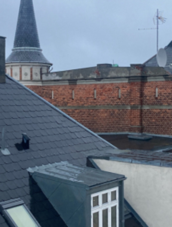 Reparation af skorstene og skiffer
