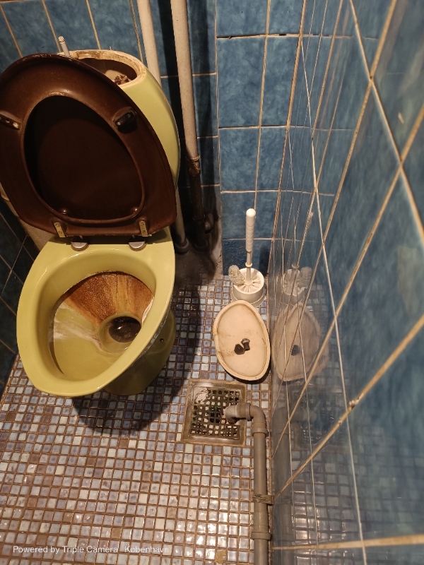 Udskiftning af gammelt toilet