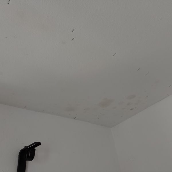 4 gipslofter udskiftes delvis