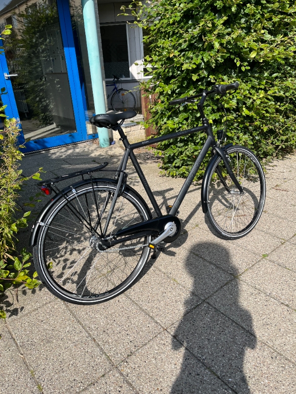 rydning af beplantning mv