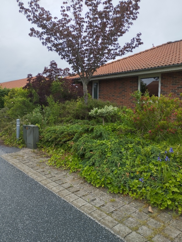 Fjernelse og anlægning af bed