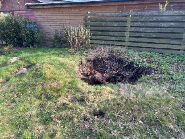 Diverse fjernelser rødder mm