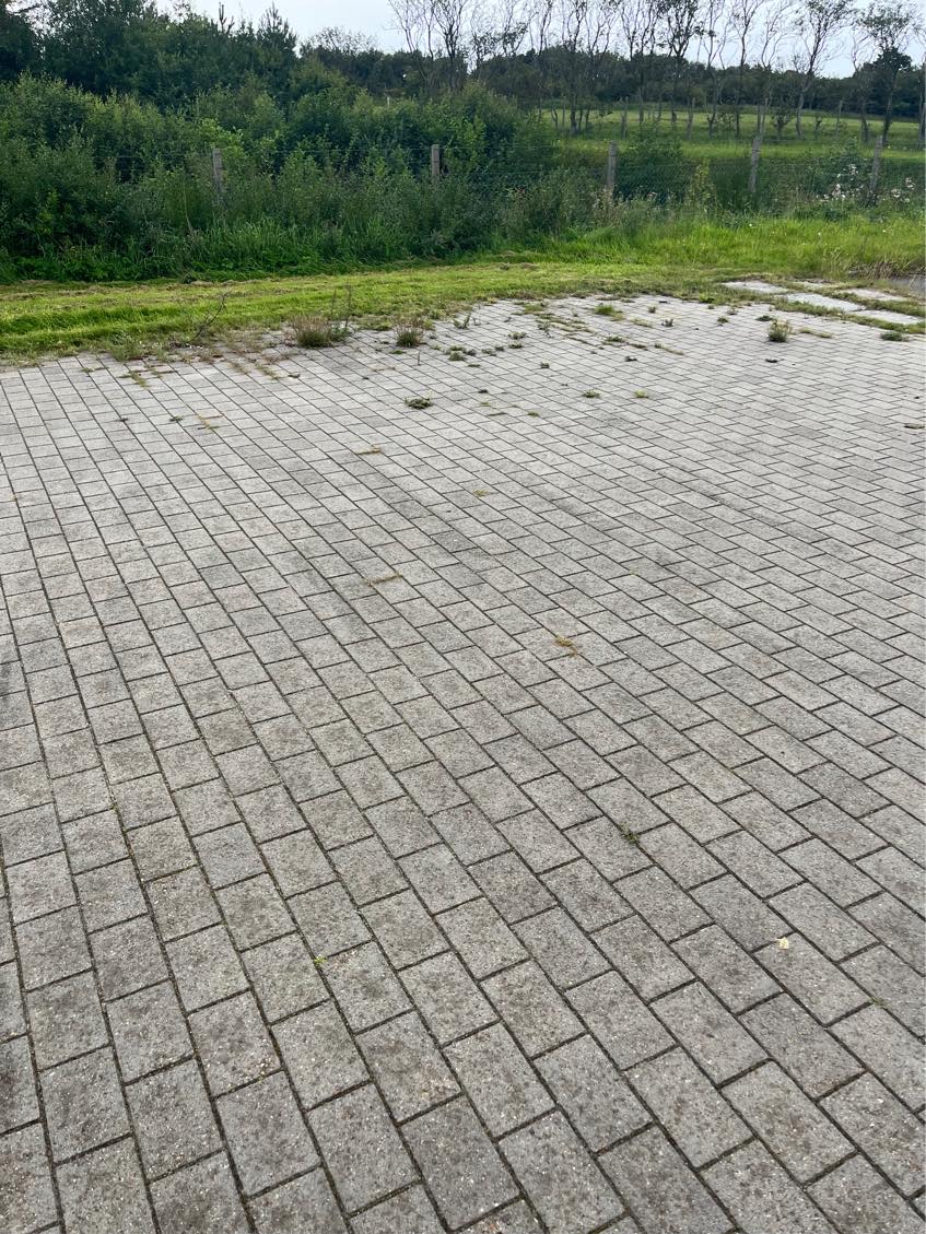 Fjerne ukrudt fra fliser