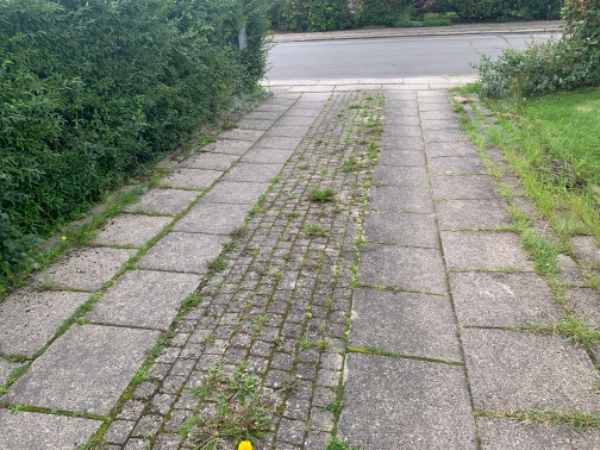 Klippet Liguster hæk som ca 90 meter hæk, og fjernet  ukrudt i indkørels. Tilbud på bortskaffelse