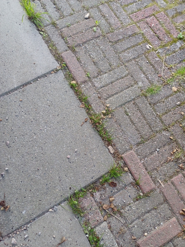 Ukrudt og græsslåning