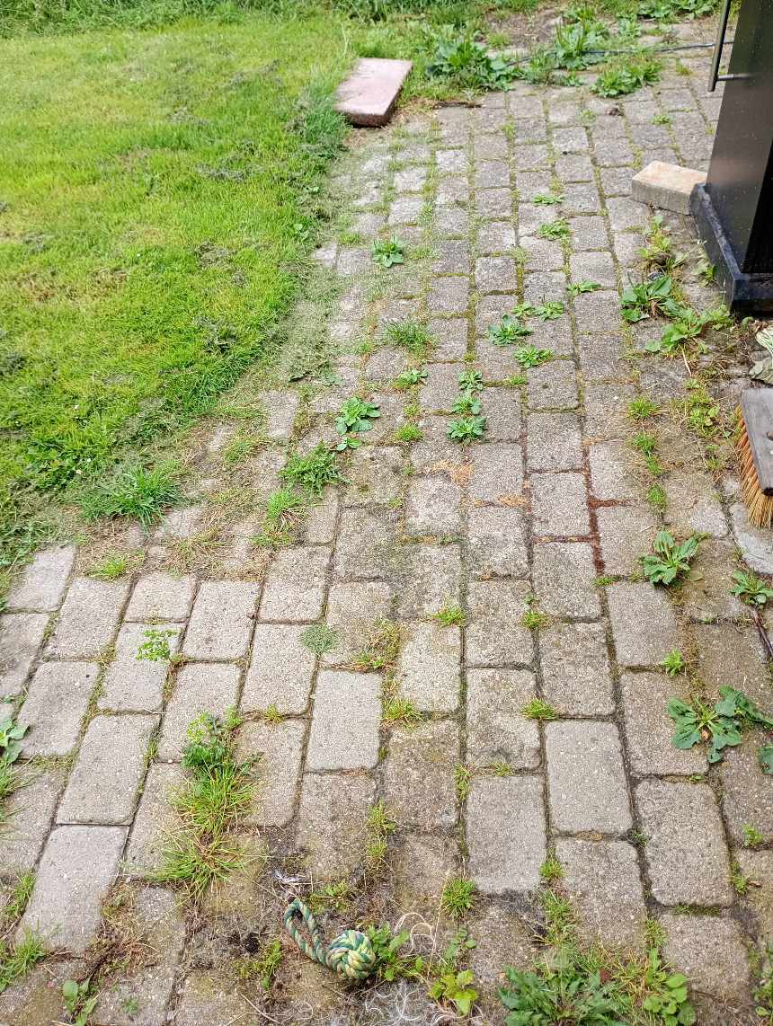 Rense fliser for ukrudt