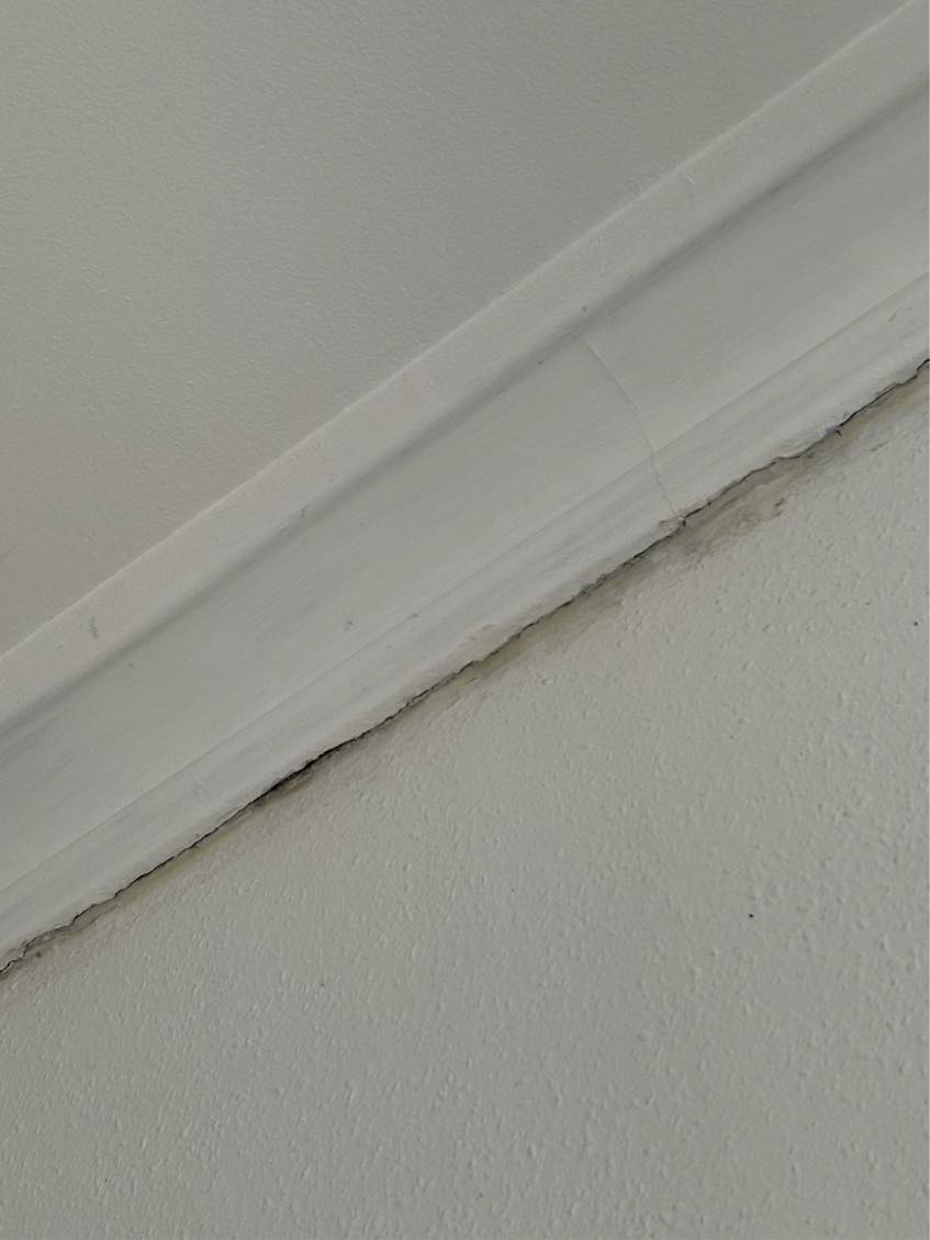 Fixe revne på loftskanten