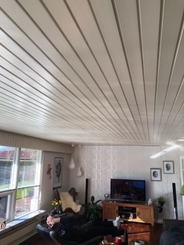 Maling af loft i køkken, stue og gang