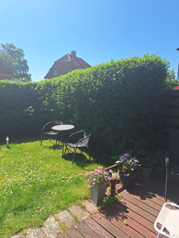 Hækklipning og højdejustering