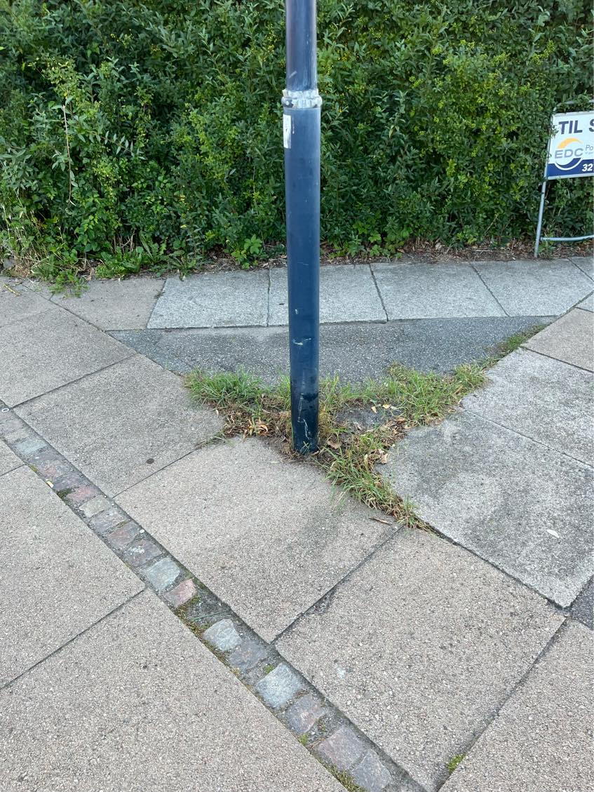 Klipning af hæk og græsplæne.