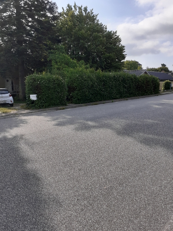 Hækklipning og affaldsbortskaffelse