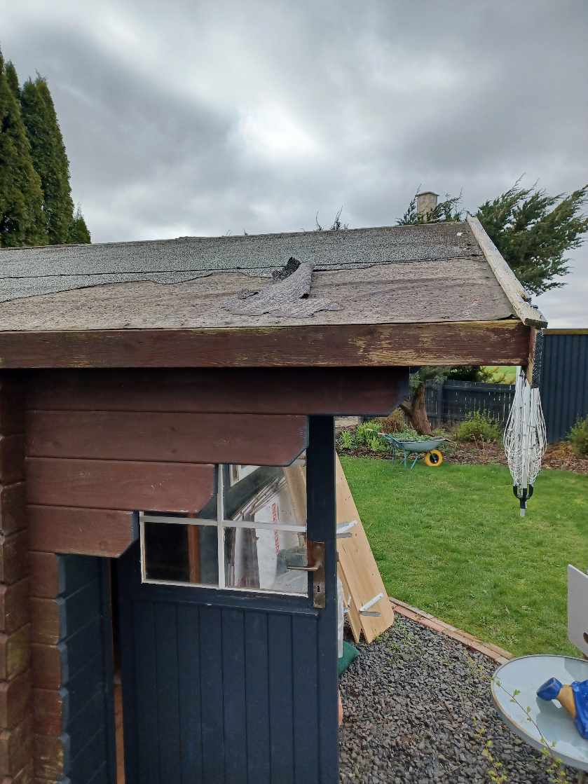 Reparation af tag på mindre anneks i haven. Fjernelse af gammelt tagpap og sternbrædder og nyt tagpap lægges/nye brædder monteres.