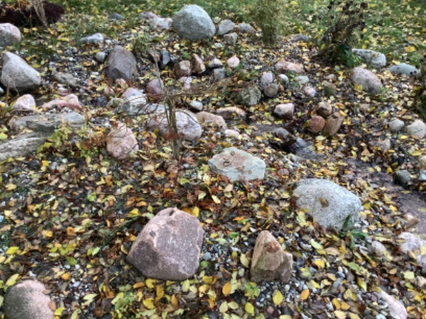 Rense vandløb og kanter for grene, blade mm. Køre planter ind i garagen.